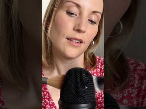 Sivelen sut uneen ASMR #asmrsuomi #sively #micbrushing