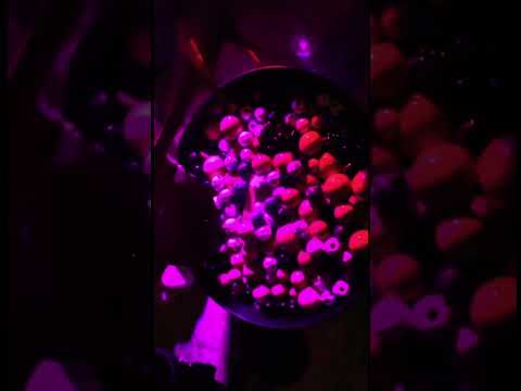 Wood soup!!! #asmr #foryou #youtubeshorts