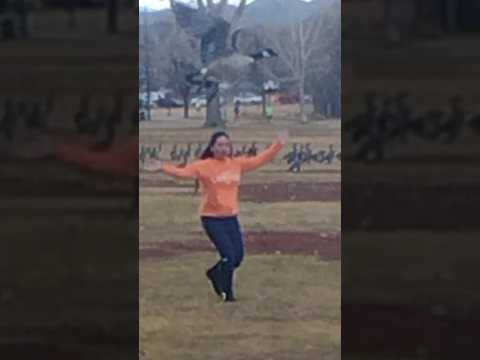 THIS IS HOW TO DO IT#shortsfeed #viral #everyone #goose #park #subscribe #funny #denver