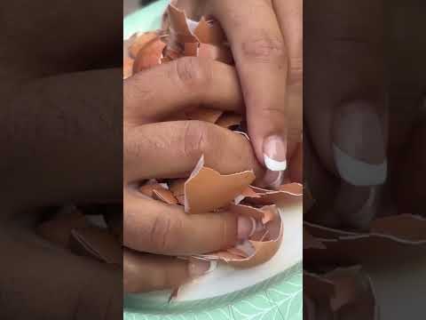 Crunching Eggshells ASMR | Satisfying Sounds #asmr #crunchysounds #asmrshorts