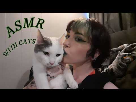 Chaotic Lofi ASMR With My Cats | Soft Spoken