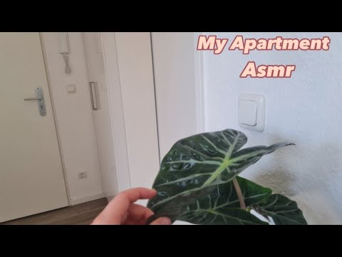 Asmr in my apartment