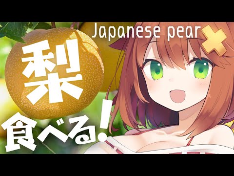 【咀嚼音ASMR】和梨食べる＆おなかの音 pear/eating sound/drinking/whispering/sniffingパーフェクトシンク