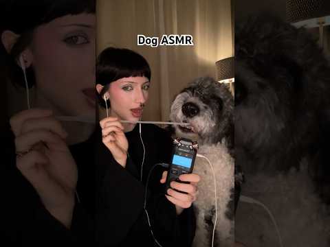 ASMR with my dog #asmr #mouthsounds #eatingsounds #eatingasmr #dogshorts