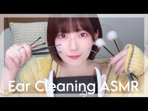 [ASMR] Ear Cleaning / 色んな耳かき [梵天・綿棒・ステンレス・シリコン・指][sleep induction]