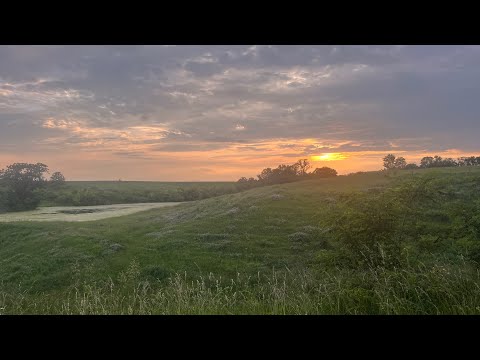ASMR- 👒Soothing Nature Sounds to fall asleep to 🌱💚