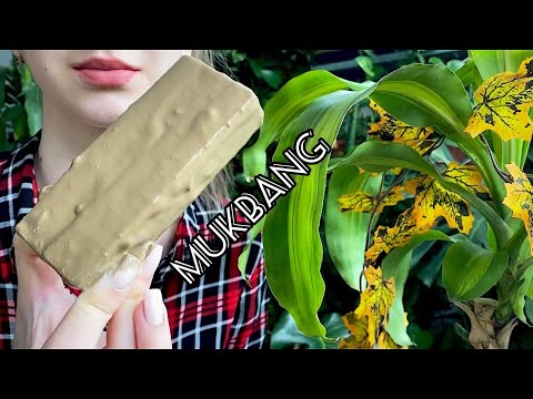 Шоколадный батончик🤎// Chocolate bar// ASMR