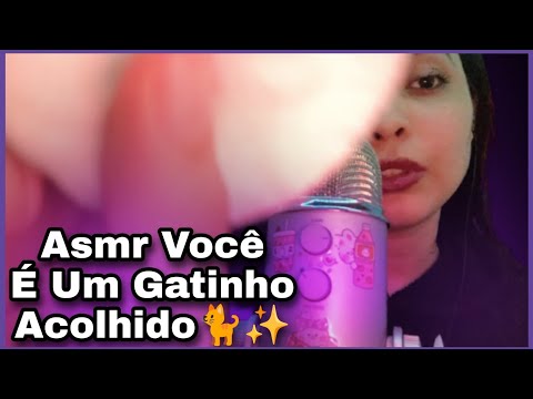 Asmr Você É Um Gatinho Acolhido 🐈✨