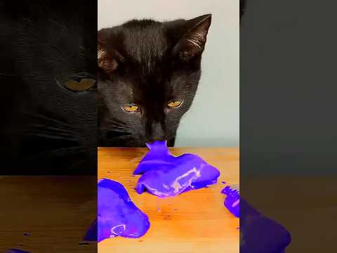 Cat ASMR Eating Purple 🧐