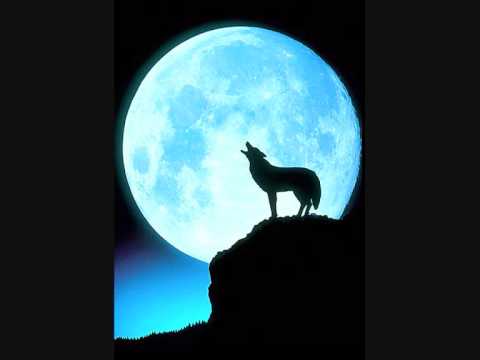 whisper 74 - "wolf poem" by chavosucks