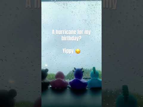 Happpy birthday to me! #asmr #shorts #youtubeshorts #fyp #hurricanedebby