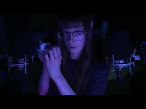ASMR For Bed To Fall Asleep Fast