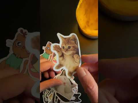 ASMR Looking at Kitty Stickers