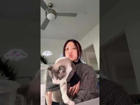 caturday serotonin :D #cats #girltime #slomw