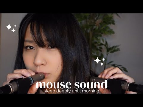 【ASMR】心を揺さぶるマウスサウンドASMR🎧 ストレス解消＆安眠のための音の極み💤 必見！【17min】