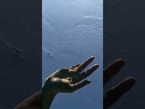 Underwater healing trauma recovery #healing #relax