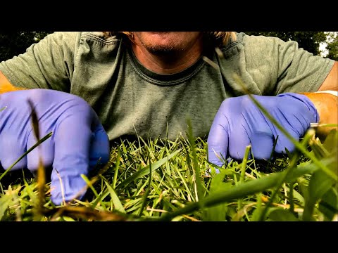 ASMR | Giving The Grass A Cranial Nerve Exam