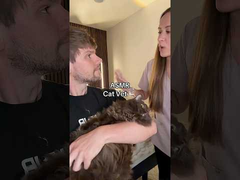 The ASMR Cat Vet