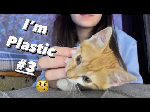Asmr tapping on plastic kitty #3