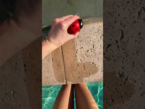 guess the Price ASMR game #asmr #lofiasmr #poolasmr #relaxandplay #asmrgame #asmrgames #publicasmr