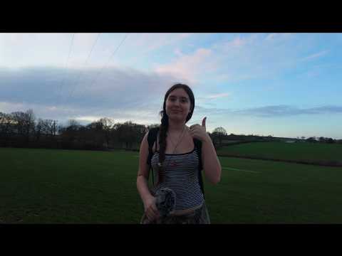 asmr outside in nature - tree tapping, nature sounds + more