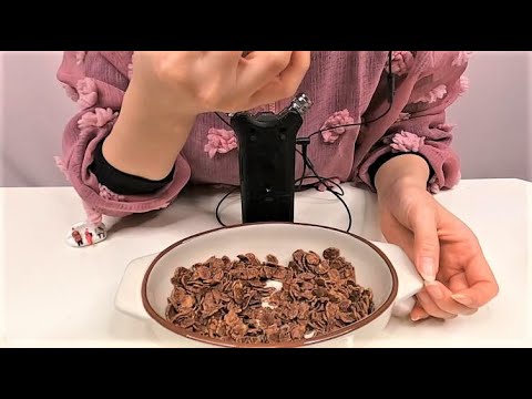 【ASMR】チョコフレーク咀嚼音/Chocolate flake chewing sound/日本/無言/no talking