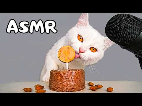 ASMR Mukbang | Cat Eating Food | Relaxing Eating Sounds