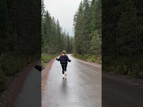 «Мухинское болото» и экотропа вдоль ручья Суооя (Ленобласть) в ноябре 🍂