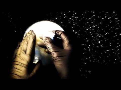 ｡⋆LATEX GLOVES with COCONUT OIL ⁝⁝ LAYERING⁝⁝  [[ASMR]]