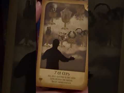 Daily Tarot Card #tarotreading