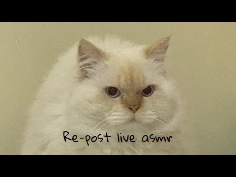 Re-post live asmr on TikTok!😴💤
