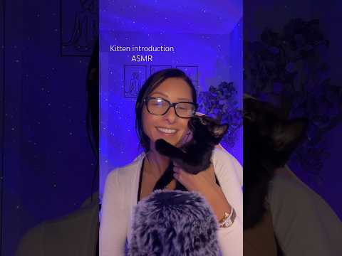 What should I name him? #asmr #relax #cat #kitten #asmrforsleep #tingles #catplay