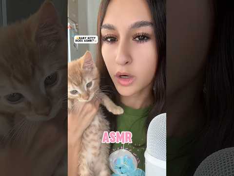 WAIT for IT.. #asmr #sleepsounds #explore #cat