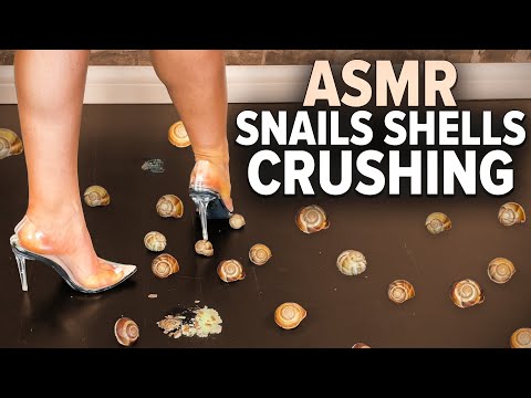 ASMR | Snails Shells Crushing with Transparent High Heels