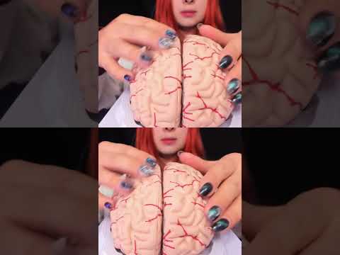 ASMR 🧠 BRAIN TINGLES... Literally! Sleep & Relaxation #asmr #shorts