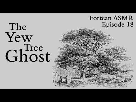 The Yew Tree Ghost– Fortean ASMR #18 (Halloween Special ASMR Spooky Story)