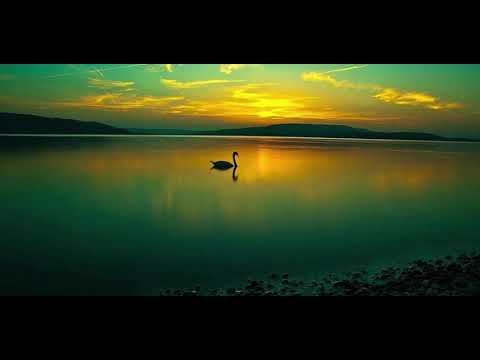 *test video * Ambient Rain 🌧️ Calming Effect for Relaxation