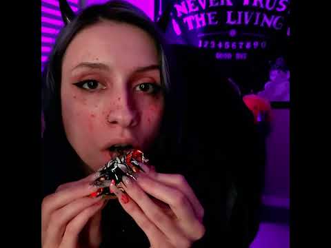 Japan Crate - Black Thunder Choc Bar  #unboxing