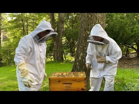 Two Queens!! 🐝 Now What? Beekeeper Spring Hive Check in May ~ Real Life Outdoor ASMR