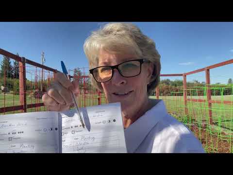 ** MY 2022 GARDEN & JOURNAL! **  LOTS OF VEGGIES AND HERBS TO COME!