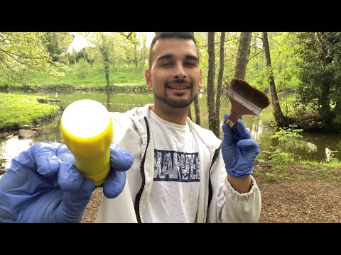 ASMR Médecin Oiseau de la forêt 🌳