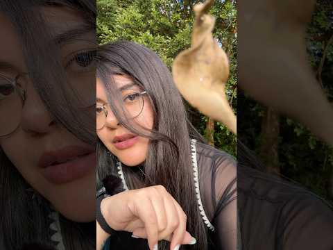 ASMR Limpio tu carita con una hoja 🍂 #asmr #mouthsounds #sleepaid #asmrvideo