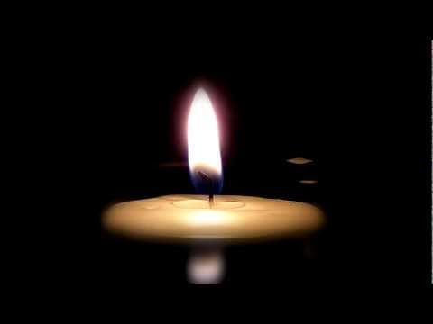 ASMR Whisper Visualization: Twilight Forest