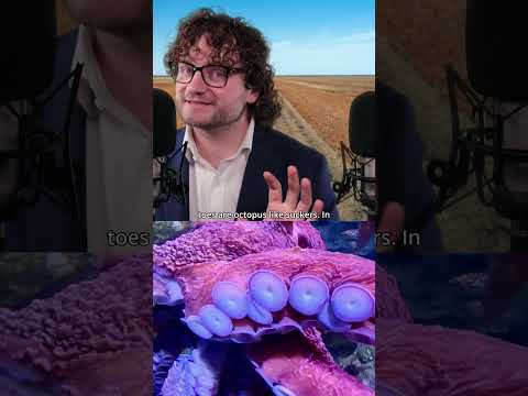 #ASMR Have you heard of Australia's blood-sucking frog-man, the Yara-ma-yha-who?
