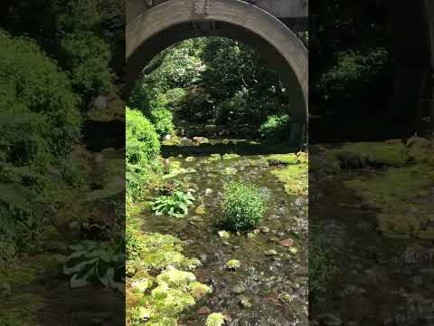 Relaxing Garden