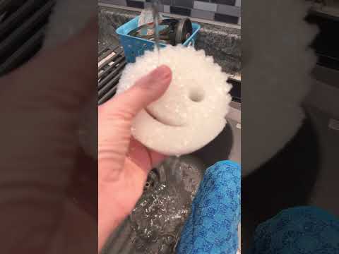 Scrub Daddy Sponge ASMR 🧽