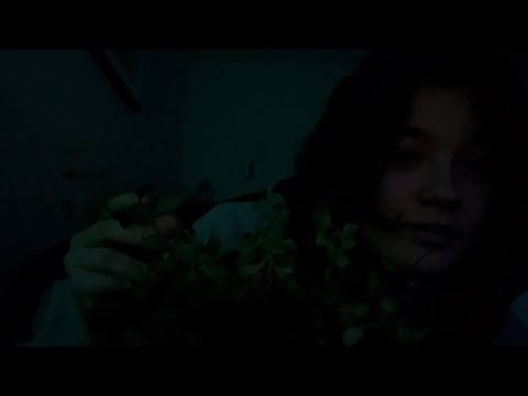 5 Minutes 5 Triggers ASMR