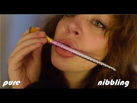 Up-Close Brush Nibbling ASMR 🤤✨ Super Tingly, no talking.