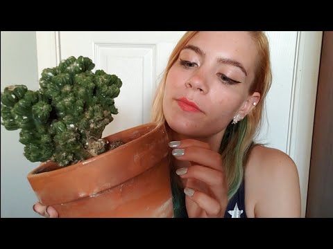 ASMR Interesting Houseplant Show & Tell | Lo-Fi Phone Film Series