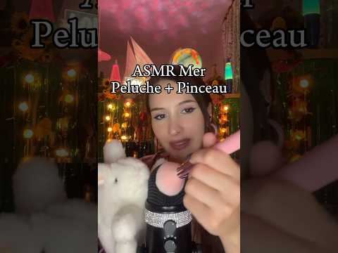 De quoi vous faire voyager malgré l’automne pluvieux 😅✨ #asmr #wavesounds #asmrbeach #relaxingvideo